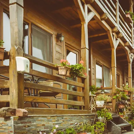Guest house Casa Mister *