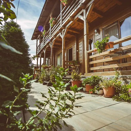 Guest house Casa Mister