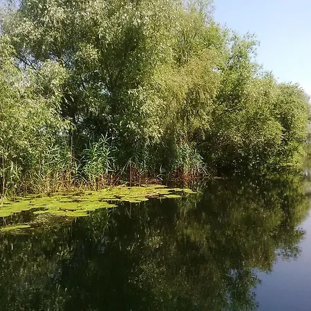 בית הארחה Casa Mister 4*