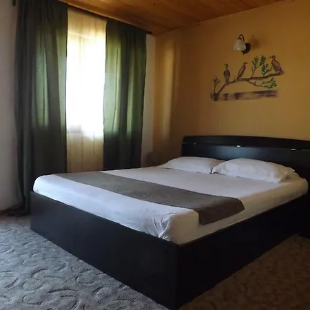Casa Mister Pensiune *