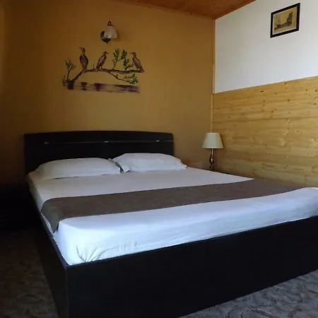 Casa Mister *