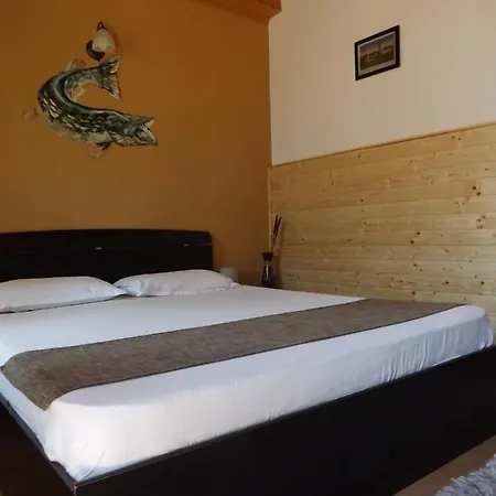 Casa Mister 4* 술리나