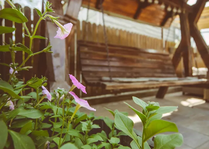 Casa Mister בית הארחה סולינה