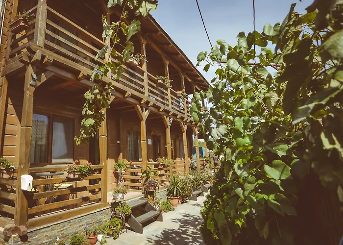 בית הארחה Casa Mister סולינה