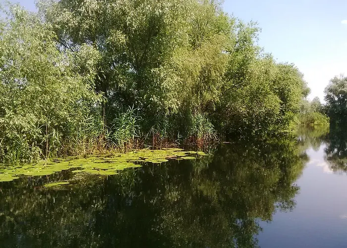 בית הארחה Casa Mister 4*