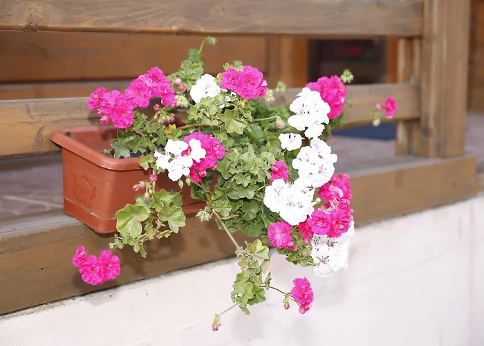 Casa Mister בית הארחה