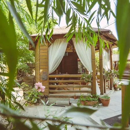 Casa Mister Pensión 4*