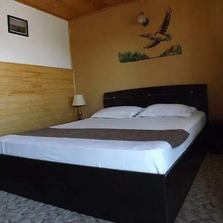 Casa Mister